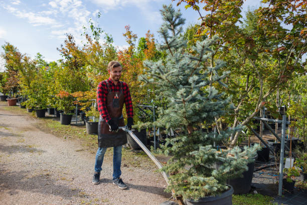 Best Tree Trimming Near Me  in Richgrove, CA